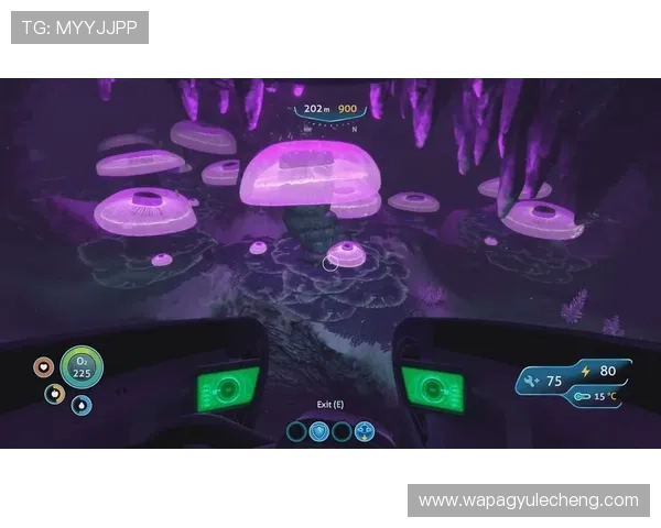 AG手机版游戏最新版本上线,丰富玩法带你畅享极致游戏体验